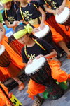 IMG1_028264
