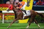 2010-10-6 R7 駿蹄飛 TURF MAGIC(K307)