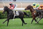 2011-5-1 R6 	勁力 QUANTUM POWER (M134)