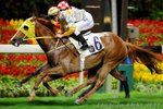 2011-6-8 R1 	生生發 DRAGON CHOICE (L338)