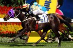 2010-10-31 R3 朝東之星 STAR OF CHIU TON (J175)