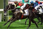 2010-11-24 R5 帝豪名駒 REGENCY WINNER (K410)