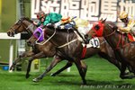2010-11-15 R1 	朝東之星 	STAR OF CHIU TON (J175)