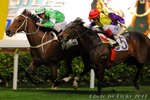 2011-1-5 R3 喜綵 SPLENDID CHAMPION (L041)