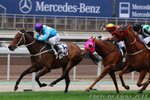 2011-2-21 R3 松林之星 FOREST STAR (J167)