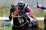 2011-4-9 R8 延續美麗ETERNAL BEAUTY (L012)