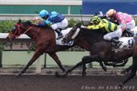 2011-2-21 R4童夢  SOLAR BOY (L213)