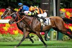 2011-7-6 R7 	清風送爽 EASY WINNER (L138)