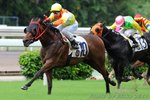 2011-7-1 R2 	好玩神駒 	FUN AND FAST (L177)
