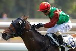 2011-2-5  R5 幸運來 LUCKY NISTELROOY (L118)