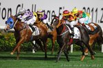 2011-2-9 R2 閃耀小子SNITZEL KID (L379)