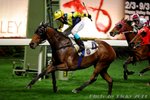 2011-3-2 R3 赤胆雄威 MAJESTIC HEART (H319)