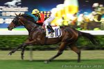 2010-10-20 R3 太陽奇妙 SOLAR WONDER (L034)