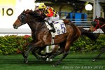 2011-2-16 R2 太陽奇妙 SOLAR WONDER (L034)