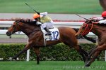 2011-3-20 R7 沙紙 SHAHJEE (M151)