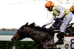 2011-6-15 R6 沙紙 SHAHJEE (M151)