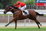 2010-10-24 R5 皇帝旨令 KING AL AKBAR (K381)