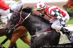 2010-11-14 R6 活力至寶 FIRST IN COMMAND (L085)