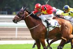 2010-11-21 R3 皇帝旨令 KING AL AKBAR (K381)