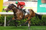 2010-12-1 R5 勁勇士 CHEVALIER KING (K289)