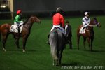 IMG1_017620