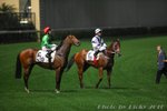 IMG1_017621
