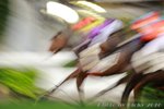 IMG1_029013