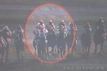 IMG1_029417