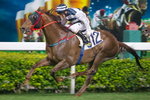 2010-10-6 R8 孖寶神駒 HONGKONG SUPERSTAR(H167)
