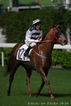 2010-10-6 R8 孖寶神駒 HONGKONG SUPERSTAR(H167)