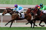 2011-3-20 R6 		松林之星 FOREST STAR (J167)