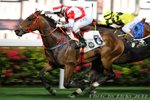 2011-4-6 R5 	華倫天奴 	FLORA DANICA (M064)