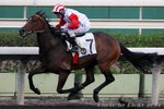 2010-5-10 R10 	幸福紅椒 FORTUNE RED PEPPER (K199)
