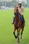 IMG1_029853