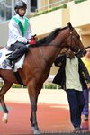 IMG1_030007