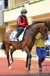 IMG1_030071