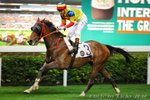 2010-12-1 R1 雪蹄靈驥 CHANTILLY (L153)
