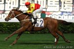 2010-12-15 R6 加州滿意 CALIFORNIA MOON (K097)