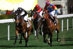 2010-1-26 R3 永得勝 WIN A DOZEN (H262)
