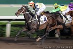 2011-3-23 R7 	朝東精英 ELITE OF CHIU TON (K089)