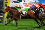 2010-11-17 R4 勁好友WONDERFUL GAINS (K050)