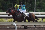 2010-11-21 R4 	乘風破浪  STORM'S DESTINY (J260)