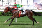 2011-6-1 R7 	夢仙 	GURUS DREAM (M246)