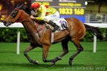 2011-6-22 R8 歐洲駿馬 EURO SWIFTLY (K091)