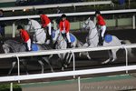 IMG1_031173