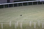 IMG1_031303