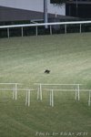 IMG1_031306