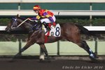 2010-11-3 R7 威威財星 WINDICATOR RETURNS (J191)