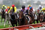 2011-2-21 R6 多多寶馬MR CELERITY (L003)