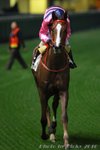 IMG1_031408